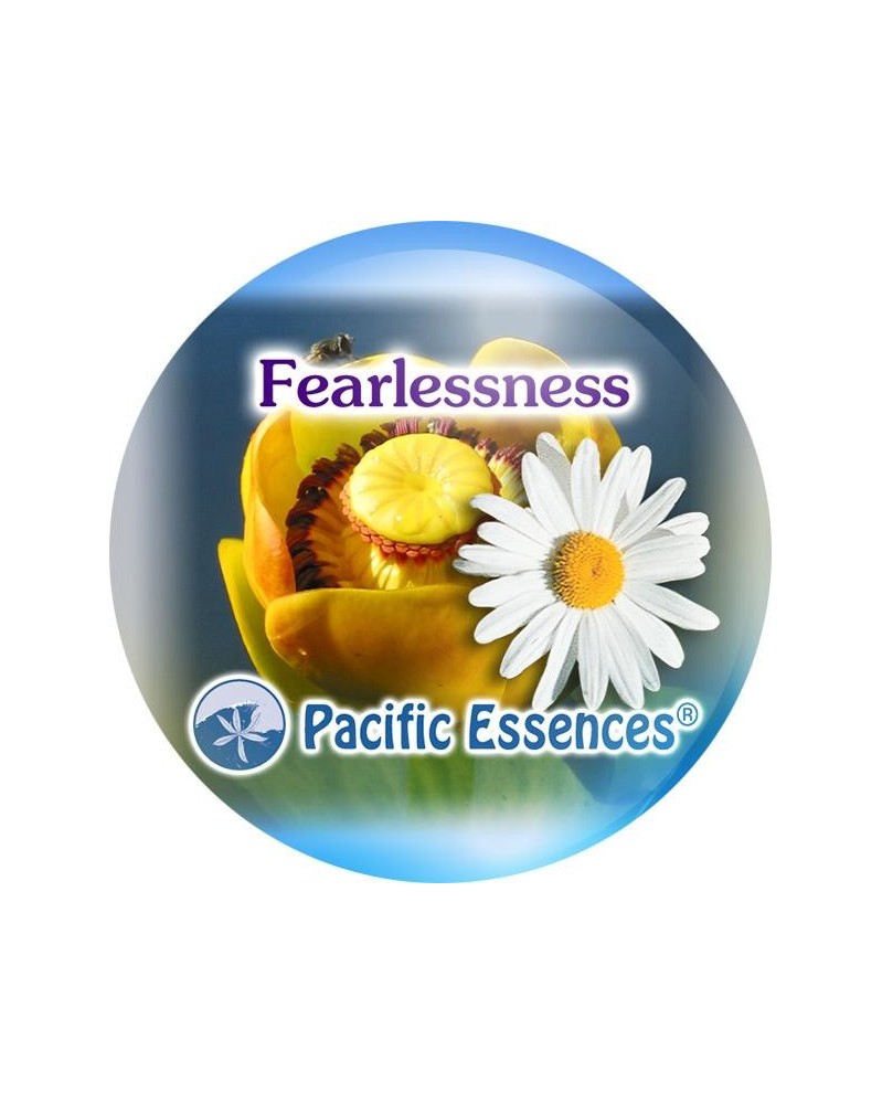 Fearlessness (intrépidité)