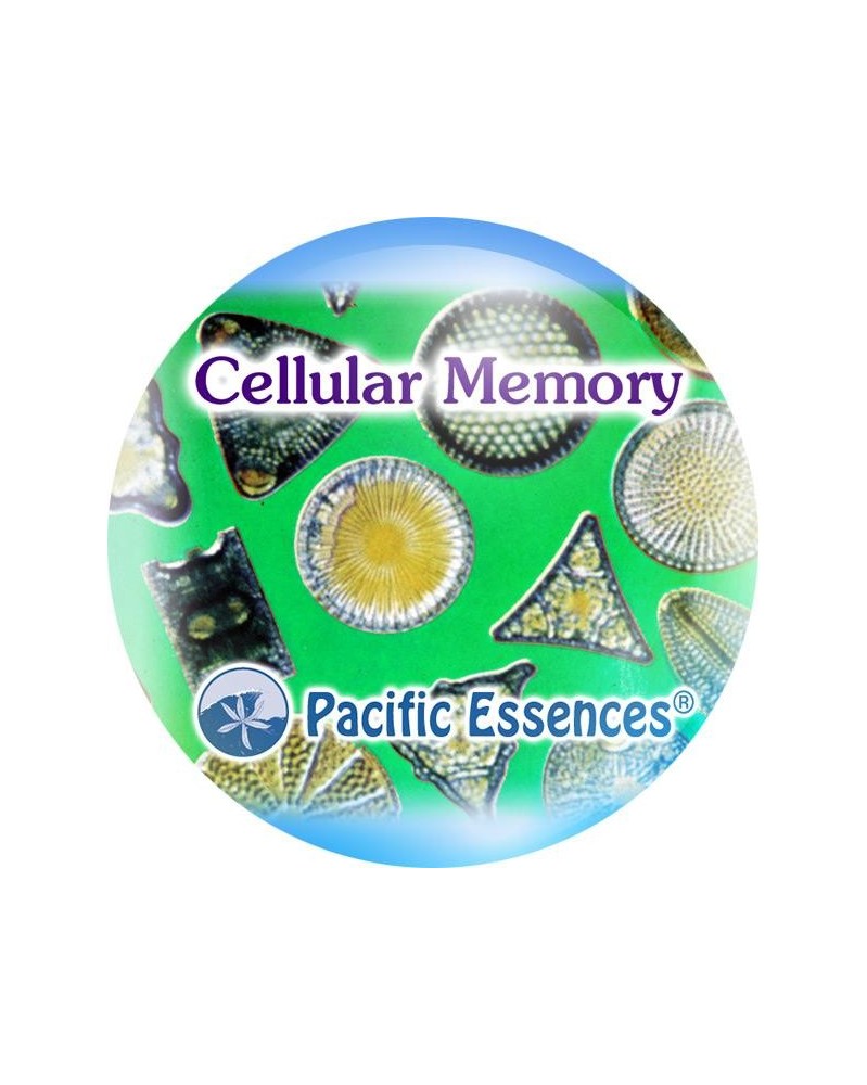 Cellular Memory (mémoire cellulaire)