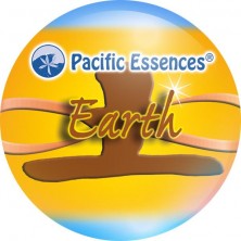 Earth Element (élément terre)
