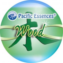 Wood Element (élément bois)