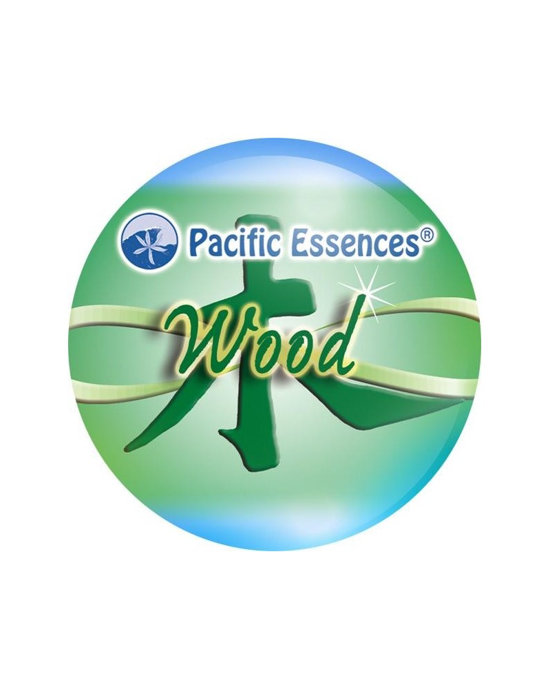 Wood Element (élément bois)
