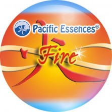 Fire Element (élément feu)