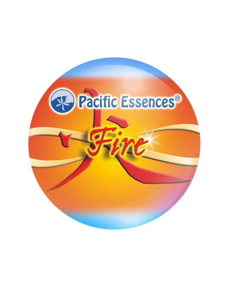 Fire Element (élément feu)