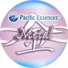 Metal Element (élément métal)