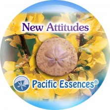 New Attitudes (nouvelles...