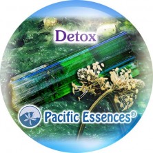 Detox