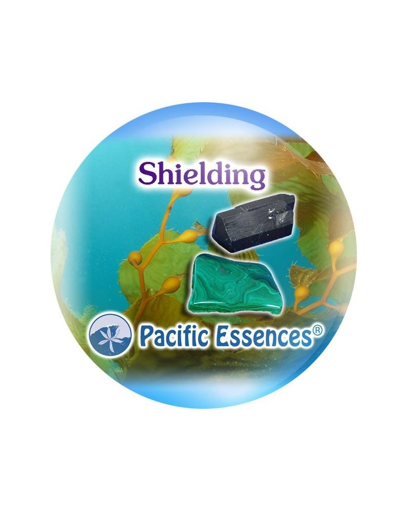 Shielding (écran de protection)