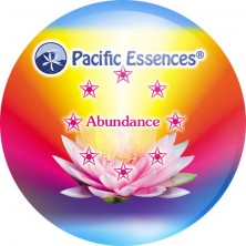 Abundance Essence