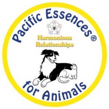 Harmonious relationships -...