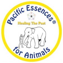 Healing the past - Animal...