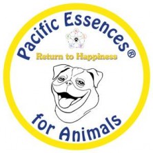 Return to happiness -...