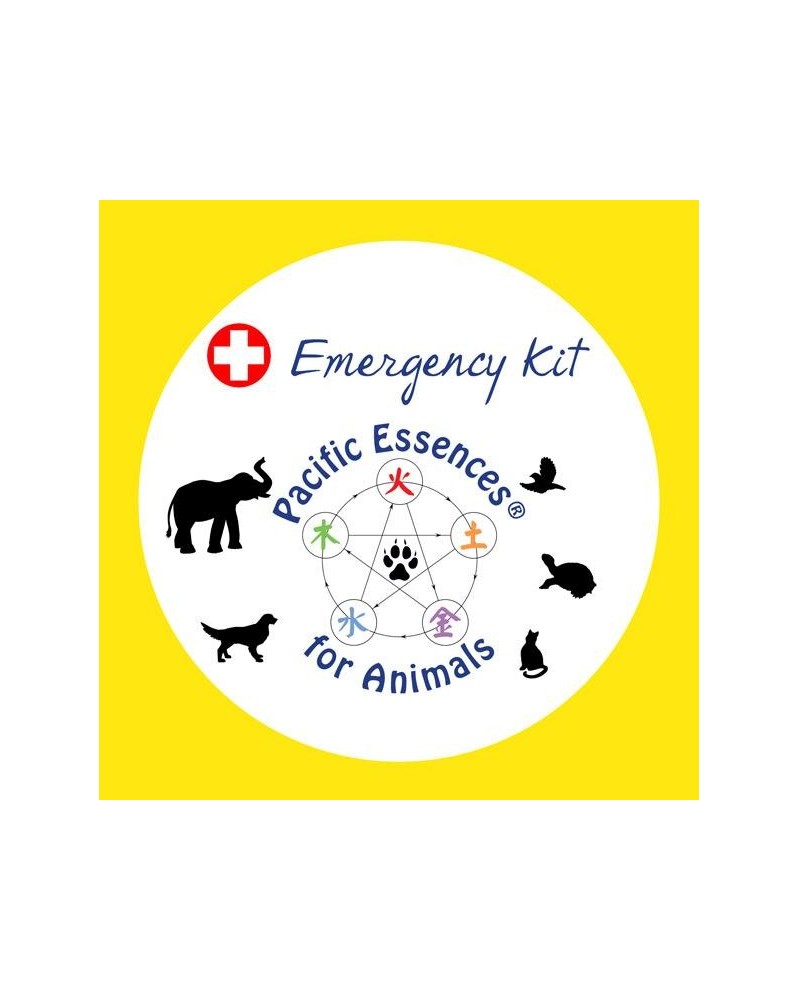 Trousse d'Urgence pour animaux