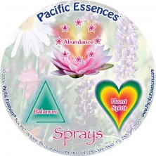 Coffret de 3 Sprays - box...