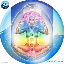 Shakti - Goddess Essence