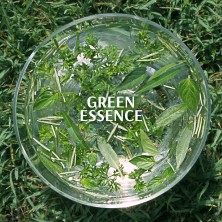 Green Essence
