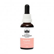 FussPot Essence - Complexe...