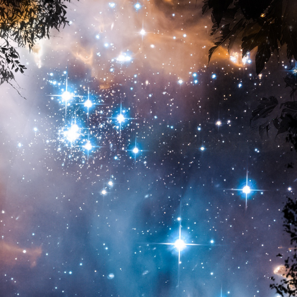 Bright Star