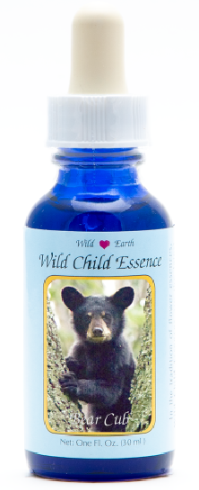 Bear Cub (ourson)