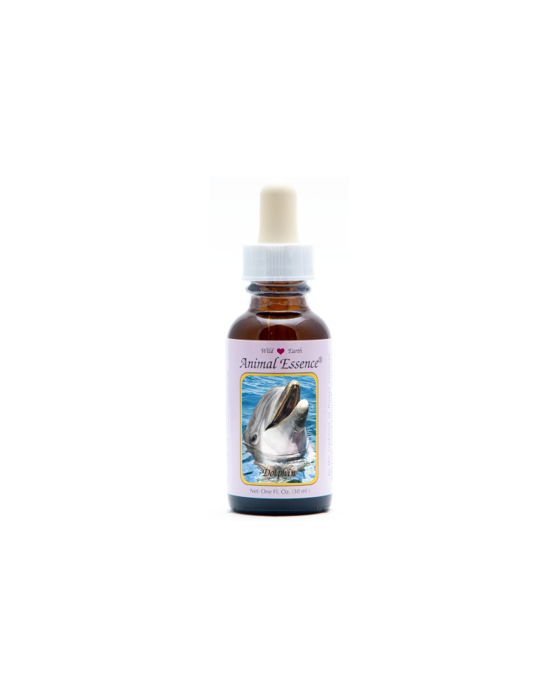 Dolphin - Dauphin