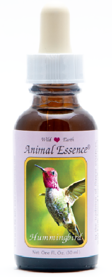 Hummingbird