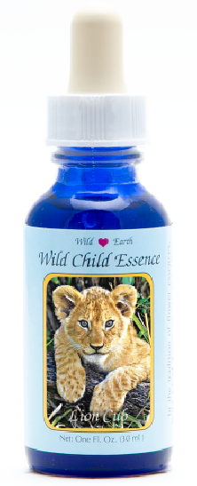 Lion Cub (lionceau)