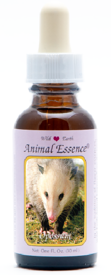 Opossum