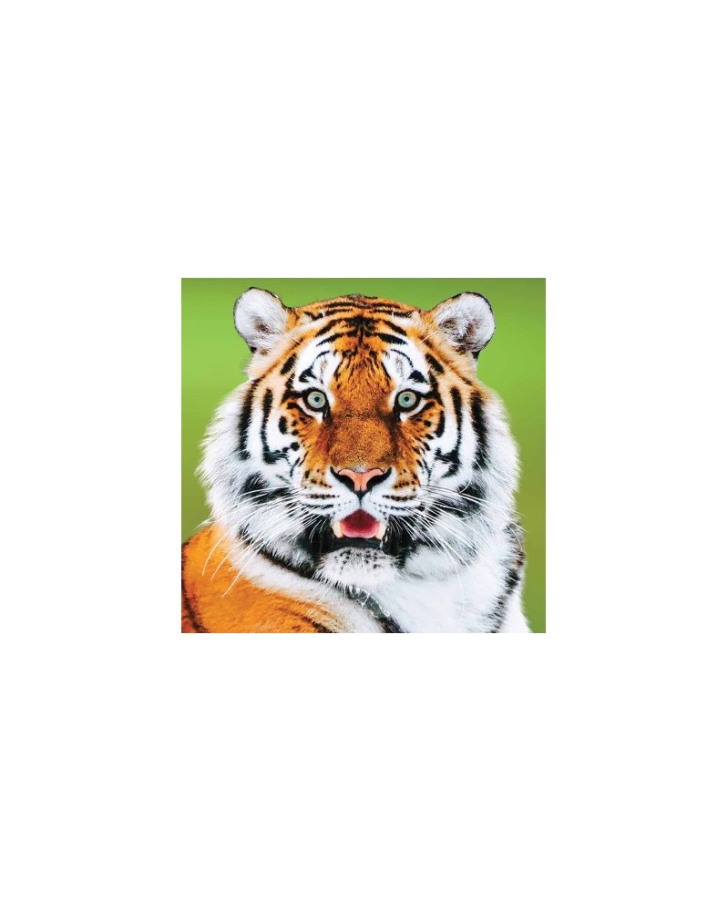Tiger - Tigre