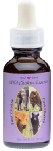 First Chakra Essence -...