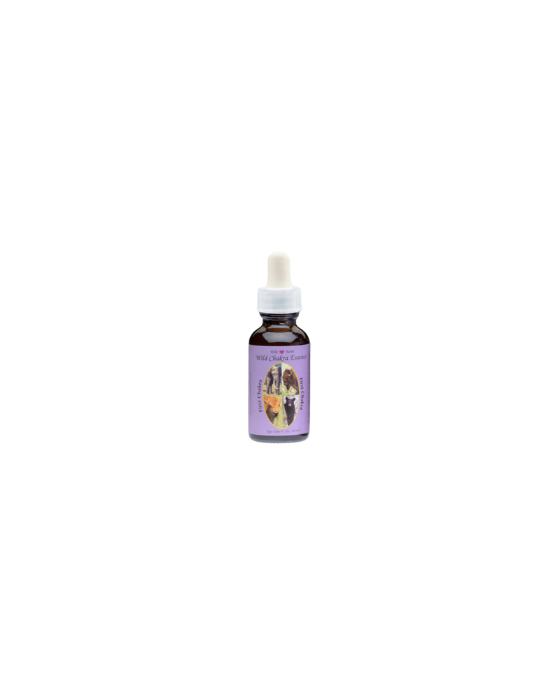 First Chakra Essence - Premier Chakra