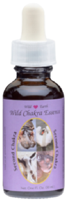 Second Chakra Essence -...