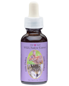 Fifth Chakra Essence -...