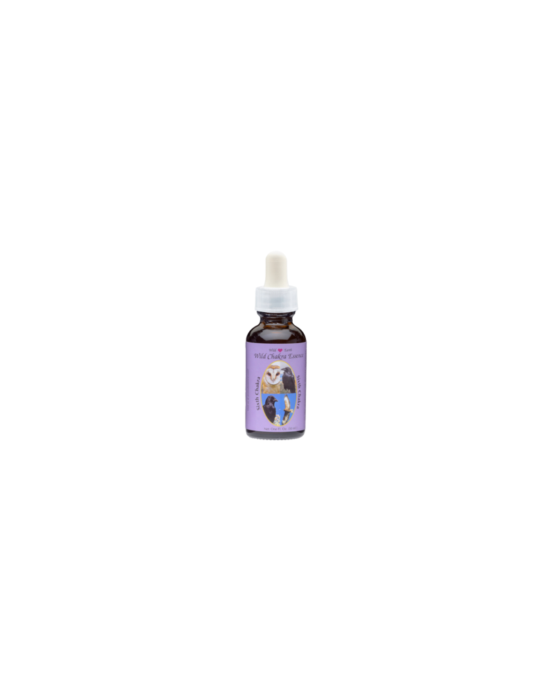 Sixth Chakra Essence - Sixième Chakra