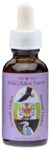 Seventh Chakra Essence -...