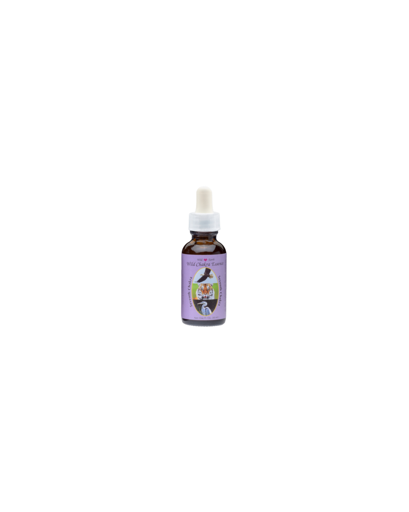 Seventh Chakra Essence - Septième Chakra