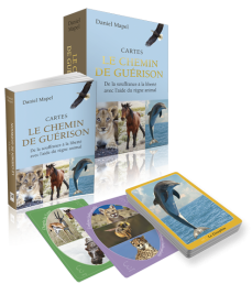 Coffret Chemin de Guérison...