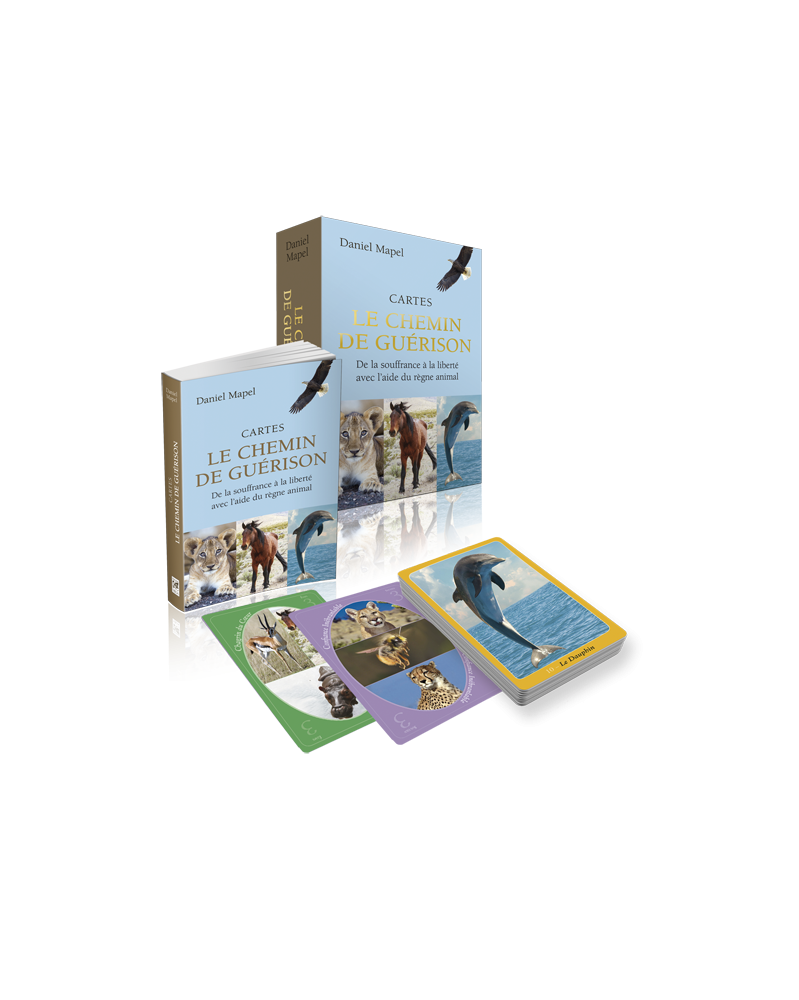 Coffret Chemin de Guérison (cartes et livre)