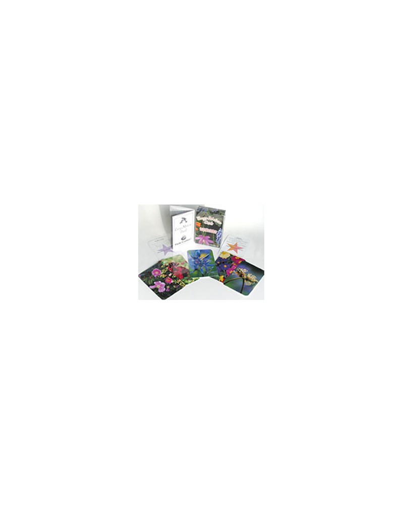 Pacific Energy Medicine Cards - français