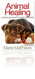 Animal Healing with...