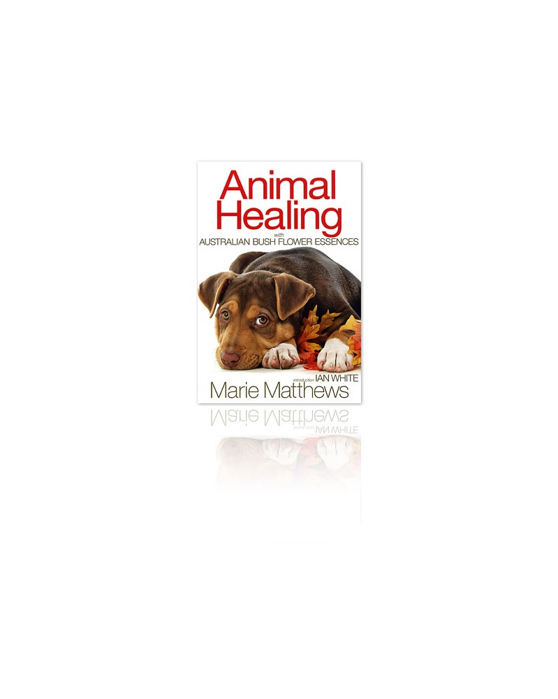 Animal Healing with Australian Bush Flower Essences