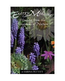 Energy Medicine:Healing...