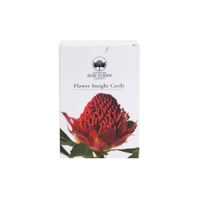 Australian Bush: Flower Insight Cards