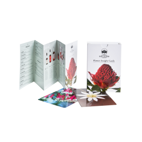 Australian Bush: Flower...