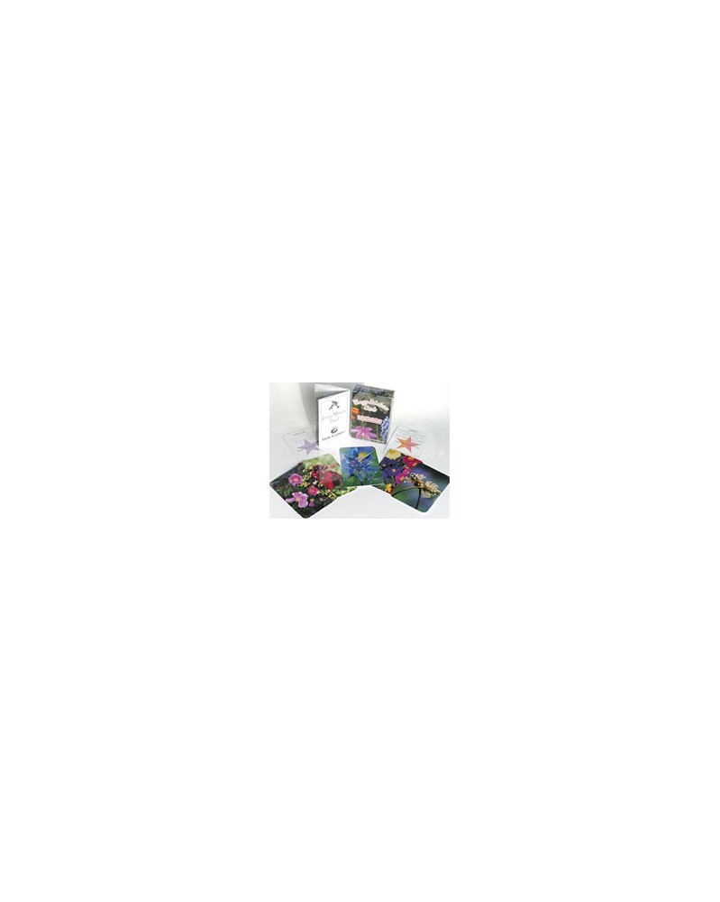 Pacific Energy Medecine Cards - english