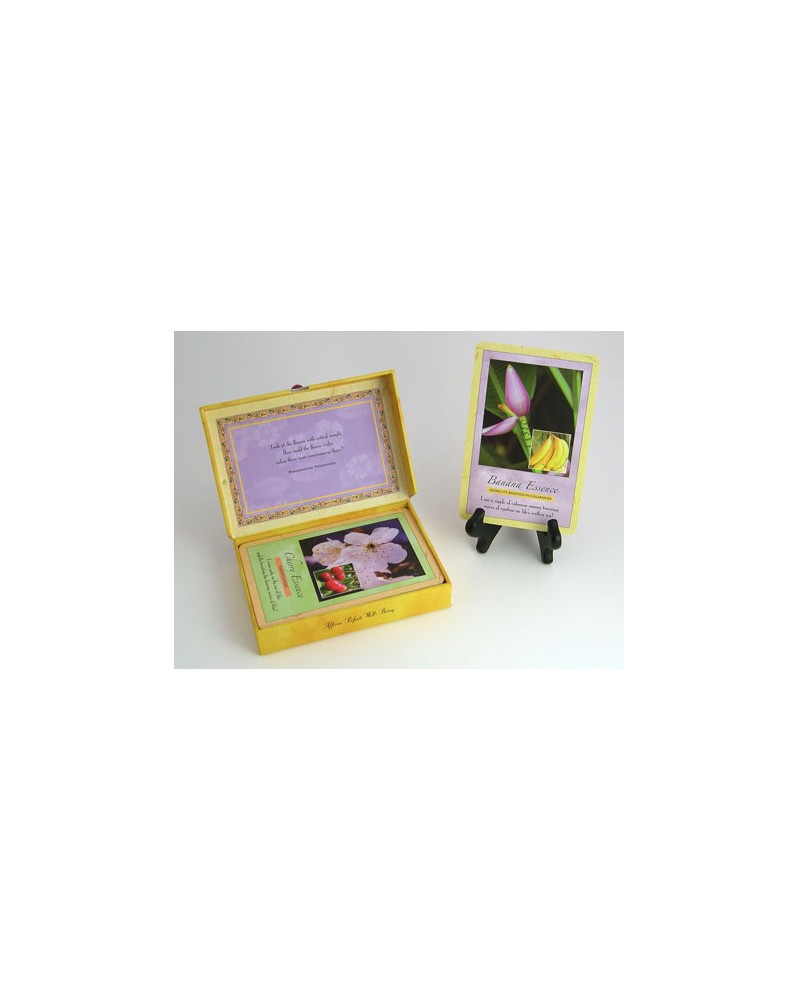 Spirit in Nature: Affirmation Cards