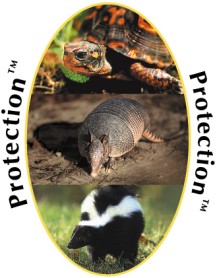 Protection