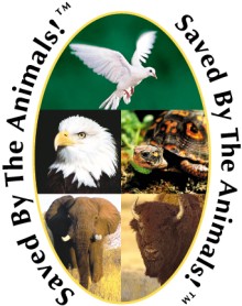 Saved by the animals - sauvé par les animaux