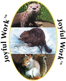 Joyful Work