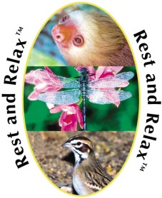 Rest and Relax -repos & relaxation