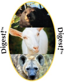 Digest! - Digérer!