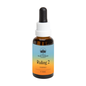 Ruling 2 Essence
